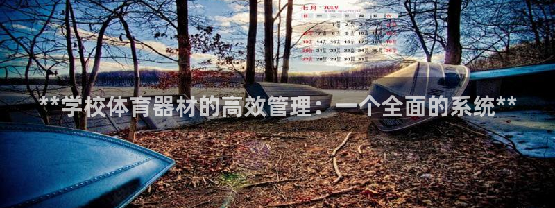 必一体育运动app：**学校体育器材的高效管理：一个全面的系