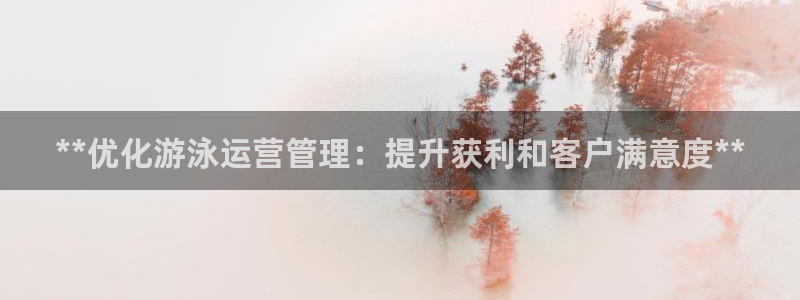 Bsport体育必一：**优化游泳运营管理：提升获利和客户满
