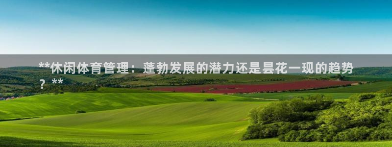 必一体育下载意思：**休闲体育管理：蓬勃发展的潜力还是昙花一