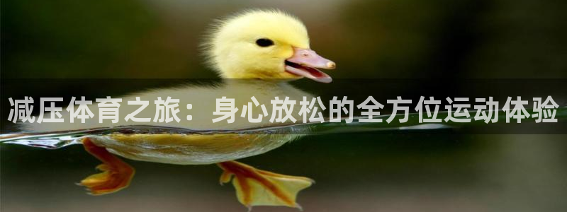 三亿体育：减压体育之旅：身心放松的全方位运动体验